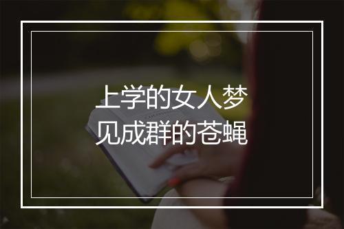 上学的女人梦见成群的苍蝇