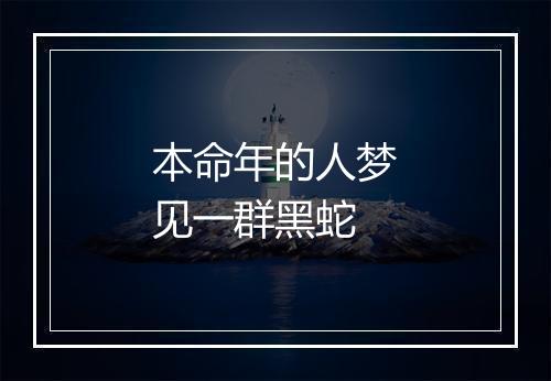 本命年的人梦见一群黑蛇