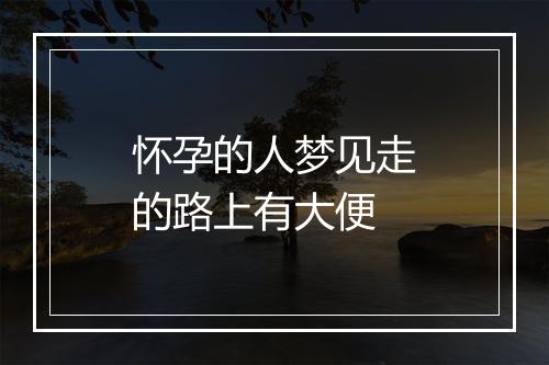 怀孕的人梦见走的路上有大便