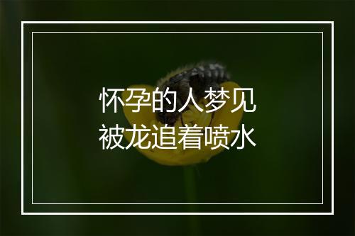 怀孕的人梦见被龙追着喷水