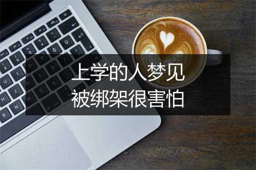 上学的人梦见被绑架很害怕