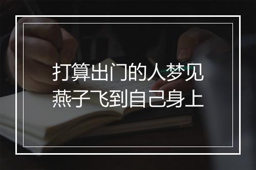 打算出门的人梦见燕子飞到自己身上