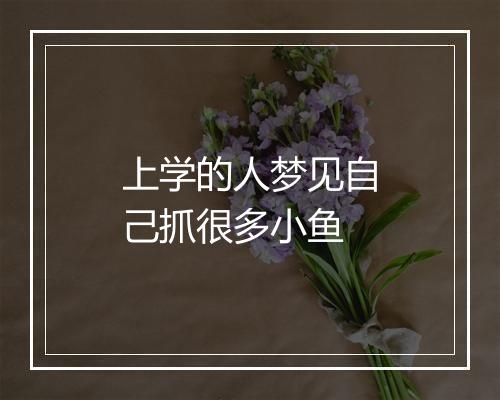 上学的人梦见自己抓很多小鱼