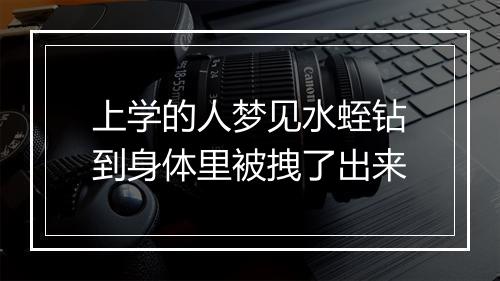 上学的人梦见水蛭钻到身体里被拽了出来