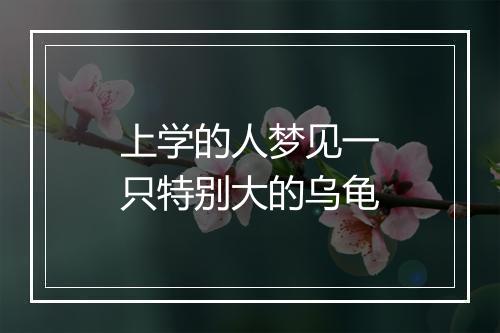 上学的人梦见一只特别大的乌龟