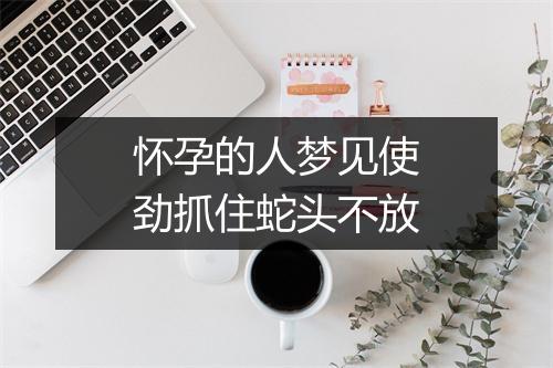 怀孕的人梦见使劲抓住蛇头不放