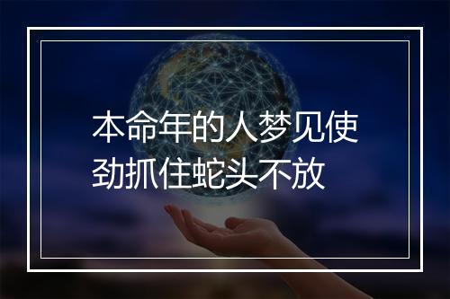 本命年的人梦见使劲抓住蛇头不放