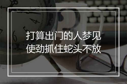 打算出门的人梦见使劲抓住蛇头不放