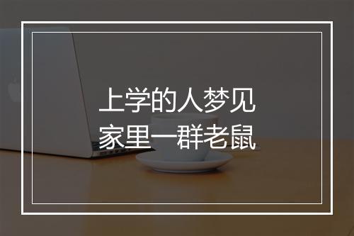 上学的人梦见家里一群老鼠