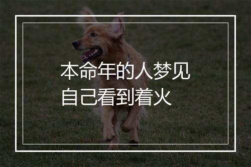 本命年的人梦见自己看到着火