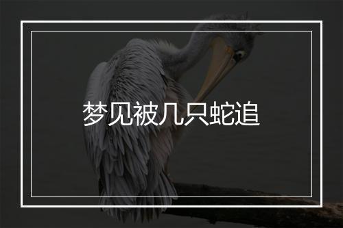 梦见被几只蛇追