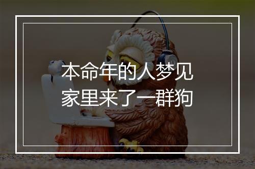 本命年的人梦见家里来了一群狗