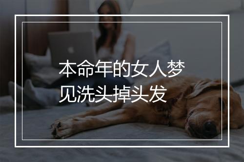 本命年的女人梦见洗头掉头发