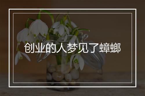 创业的人梦见了蟑螂