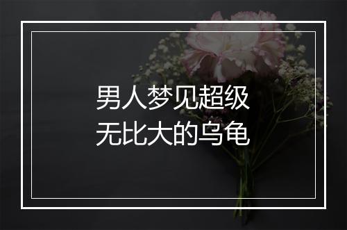 男人梦见超级无比大的乌龟