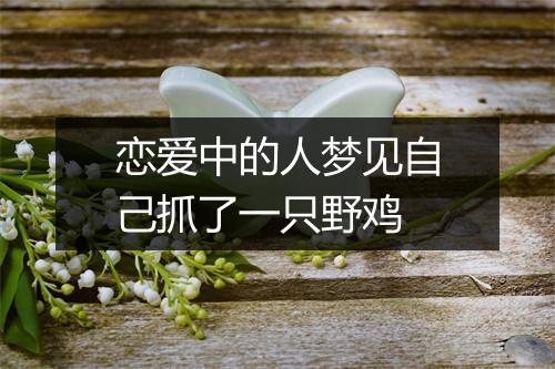 恋爱中的人梦见自己抓了一只野鸡