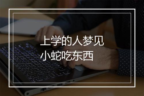 上学的人梦见小蛇吃东西