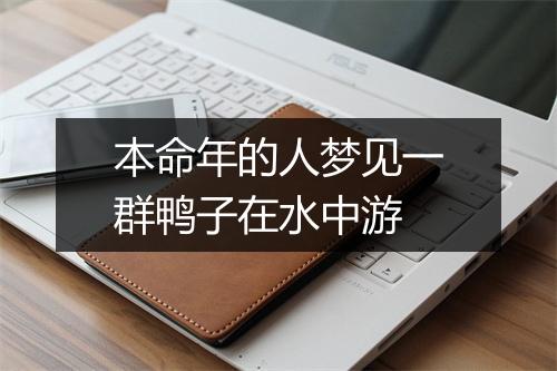 本命年的人梦见一群鸭子在水中游