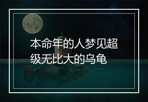 本命年的人梦见超级无比大的乌龟