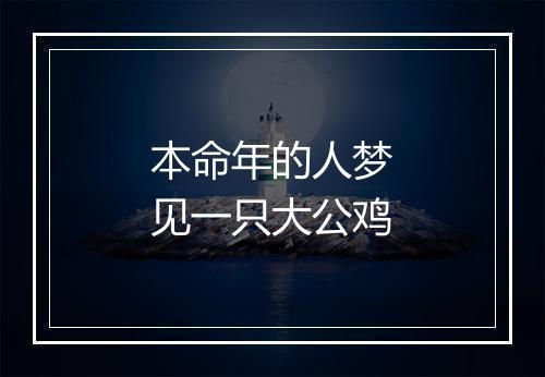 本命年的人梦见一只大公鸡