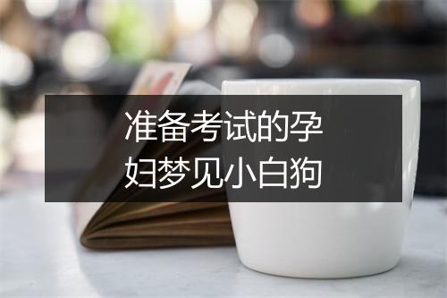 准备考试的孕妇梦见小白狗