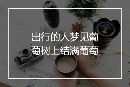 出行的人梦见葡萄树上结满葡萄