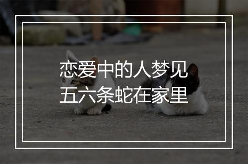 恋爱中的人梦见五六条蛇在家里