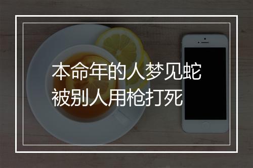 本命年的人梦见蛇被别人用枪打死