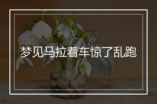 梦见马拉着车惊了乱跑