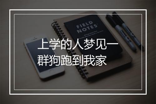 上学的人梦见一群狗跑到我家