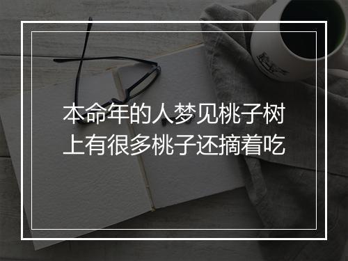 本命年的人梦见桃子树上有很多桃子还摘着吃