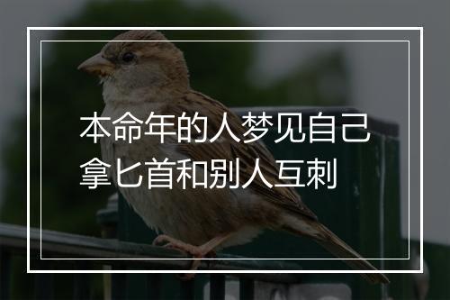 本命年的人梦见自己拿匕首和别人互刺