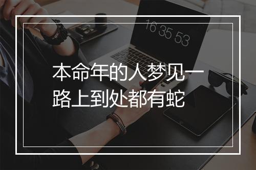 本命年的人梦见一路上到处都有蛇