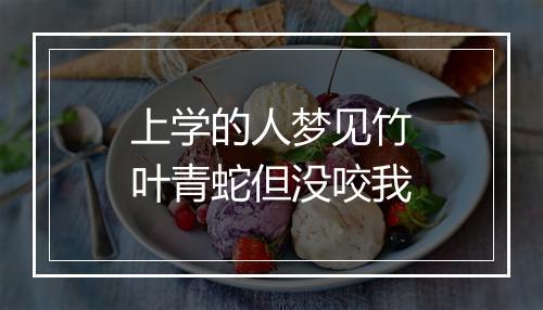 上学的人梦见竹叶青蛇但没咬我