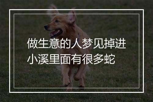 做生意的人梦见掉进小溪里面有很多蛇