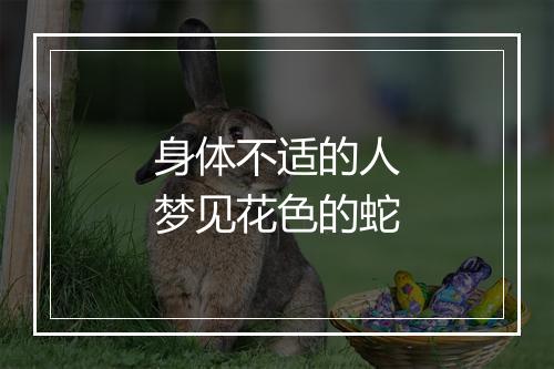 身体不适的人梦见花色的蛇