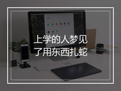 上学的人梦见了用东西扎蛇