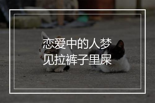 恋爱中的人梦见拉裤子里屎