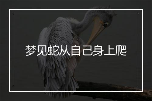 梦见蛇从自己身上爬