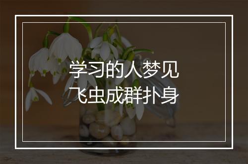 学习的人梦见飞虫成群扑身