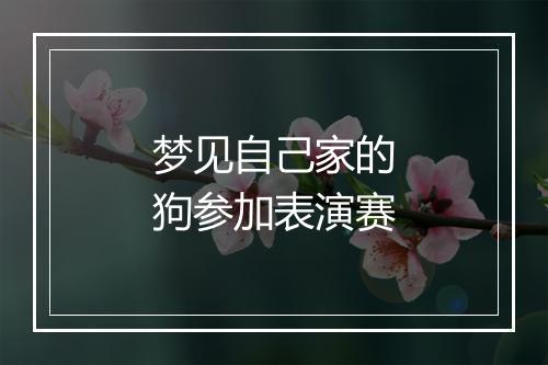 梦见自己家的狗参加表演赛