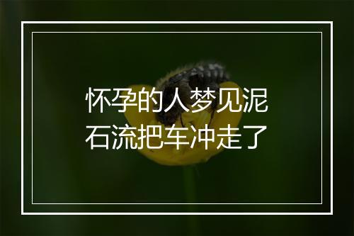 怀孕的人梦见泥石流把车冲走了