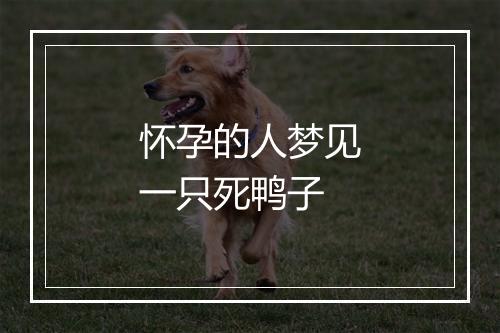 怀孕的人梦见一只死鸭子