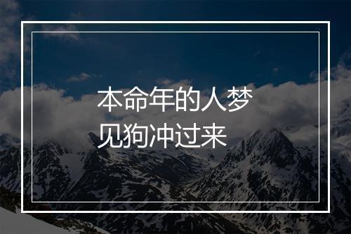 本命年的人梦见狗冲过来