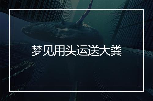 梦见用头运送大粪