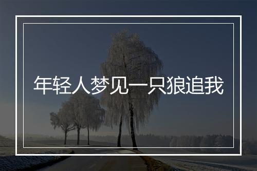 年轻人梦见一只狼追我