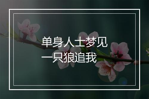 单身人士梦见一只狼追我