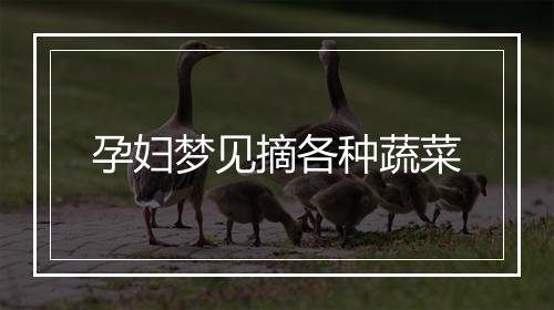 孕妇梦见摘各种蔬菜