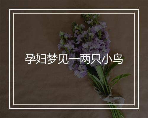 孕妇梦见一两只小鸟