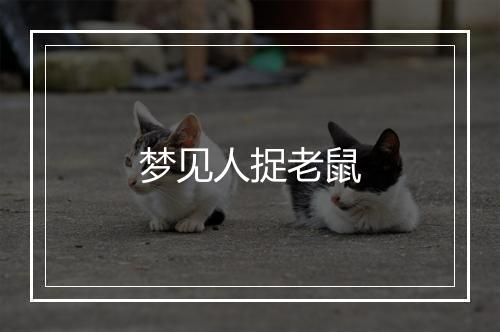 梦见人捉老鼠